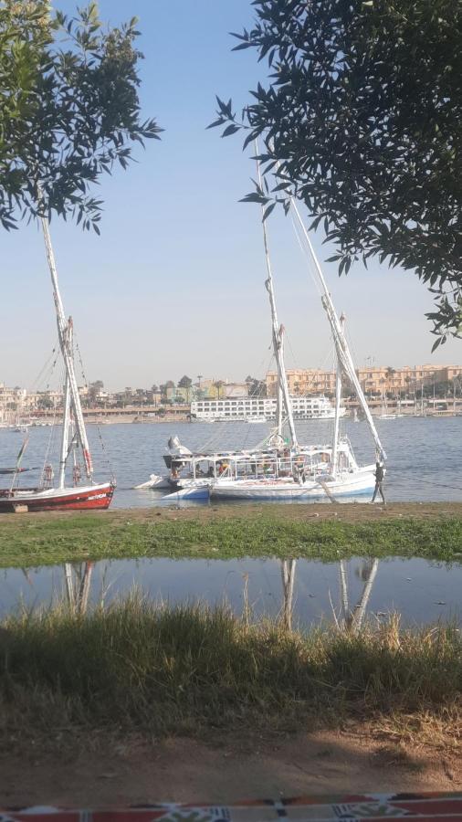 Villa Victoria Old Nile View ルクソール エクステリア 写真